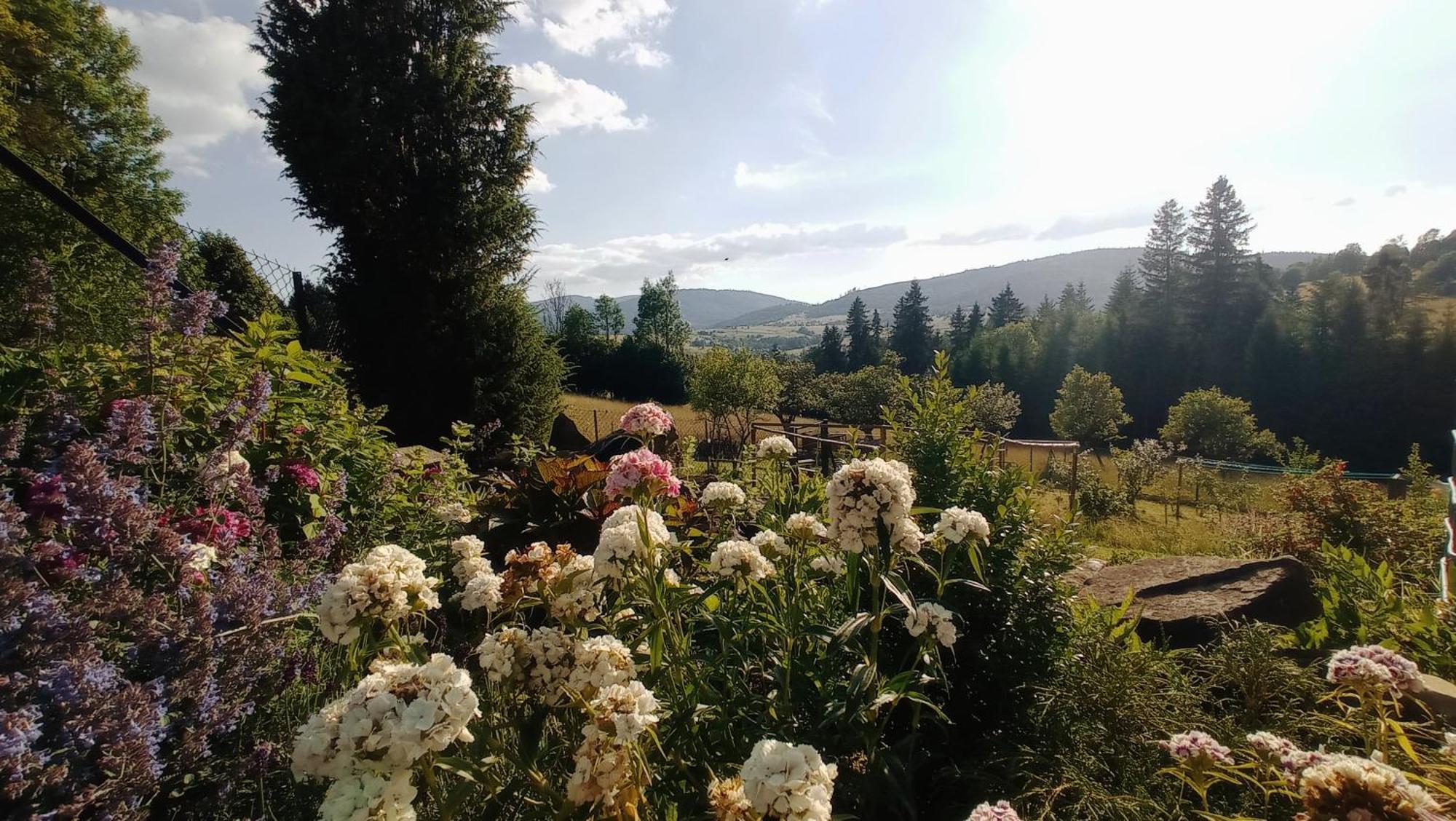 Agroturystyka "Na Polanie" Rajcza Exteriör bild